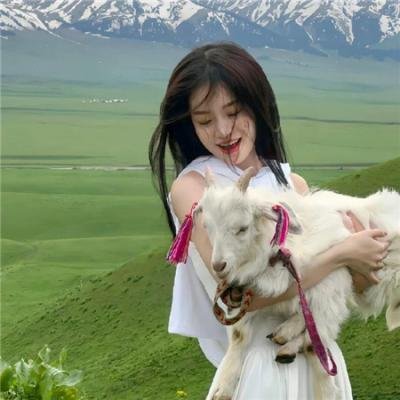 警犬赤龙